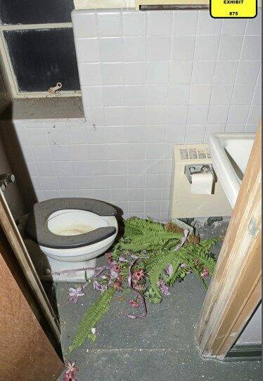 6244898_web1_ptr-treebathroom