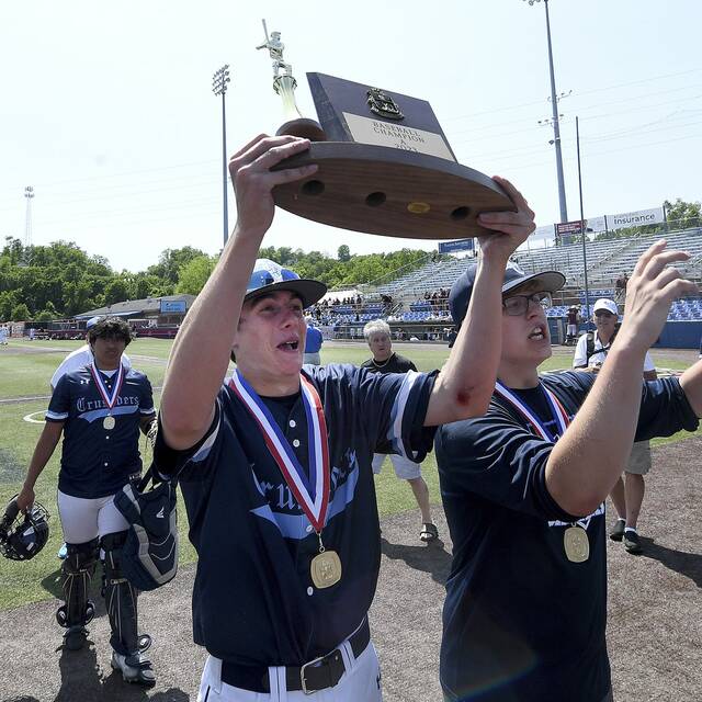 Behind ace Tyler Maddix, Bishop Canevin secures 3rd WPIAL baseball championship