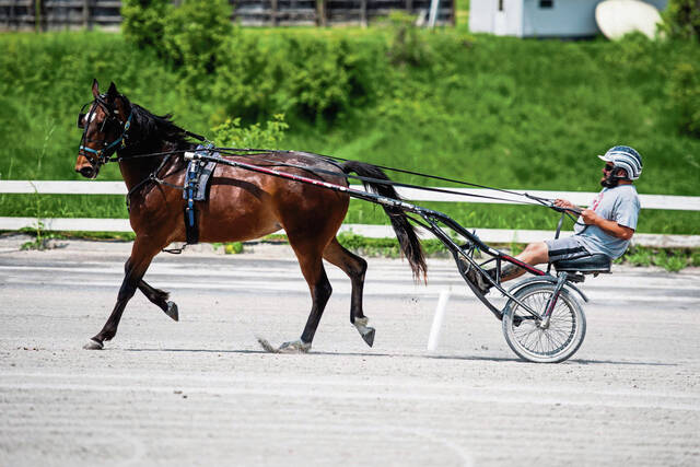 6215756_web1_gtr-HorseHealth2-060523