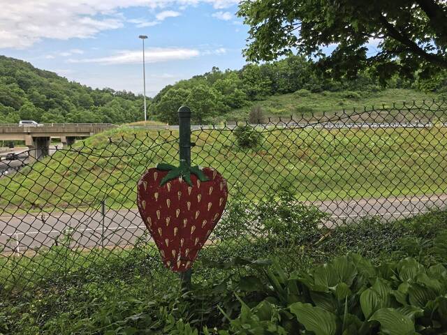 6249095_web1_vnd-strawberryfest04-061619