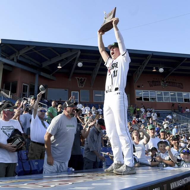 Undefeated Riverside rallies past Neshannock to win 6th WPIAL baseball championship