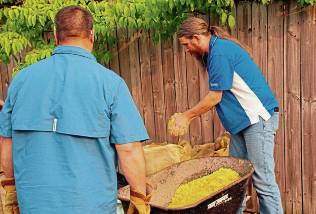 6258282_web1_vnd-sawdust4-060823