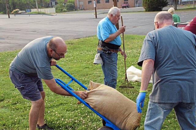6269004_web1_vnd-sawdust3-060823