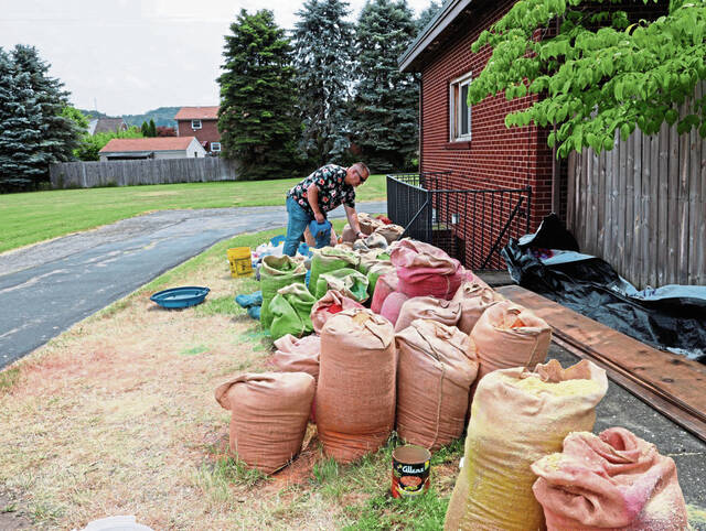 6276645_web1_vnd-SawdustCarpets5-061223