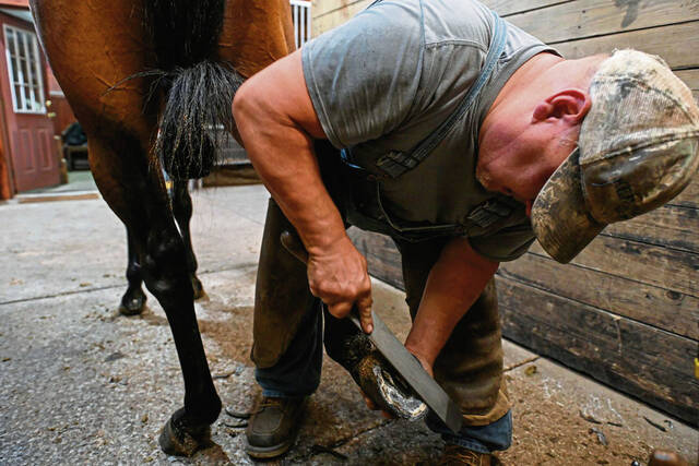 6281227_web1_gtr-HorseRacing002-061023