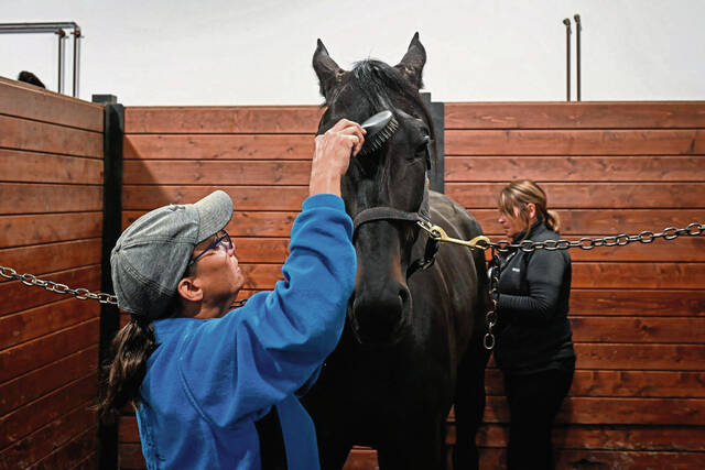 6281227_web1_gtr-HorseRacing004-061023