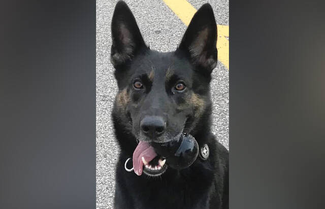 6301850_web1_vnd-k9fredyW-061723