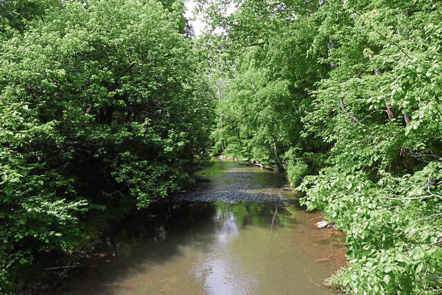 6309757_web1_gtr-CreekFalls001-062023