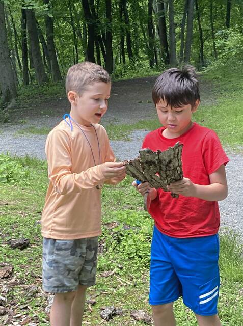 6313138_web1_FCASD-STEAM-CAMP-4