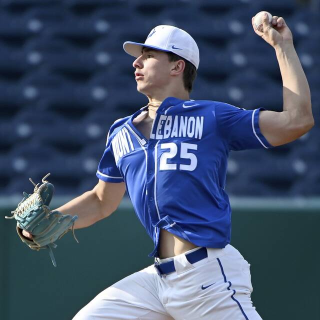 Trib HSSN’s 2023 Baseball Player and Coach of the Year for each classification