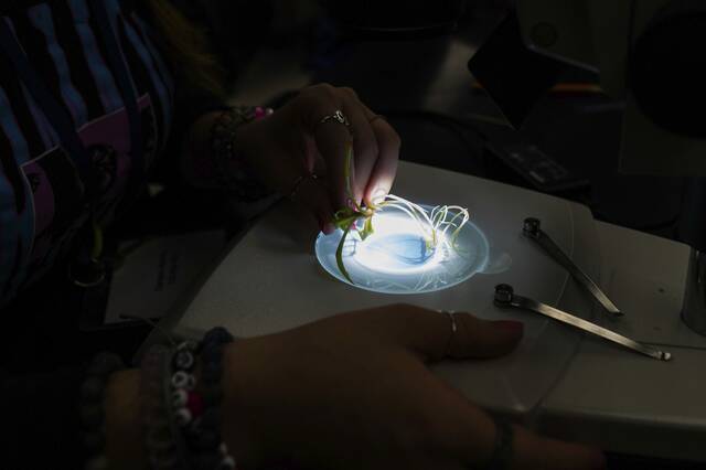 6331231_web1_gtr-UPGSummerSci6-062823