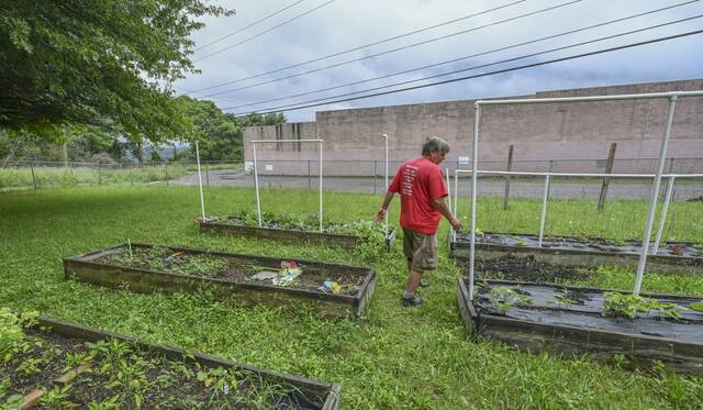 6336222_web1_VND-GardenDamage1-062823