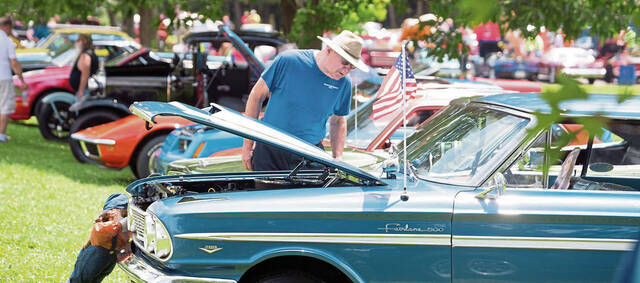 6339316_web1_gtr-OA-bushycars8-070819