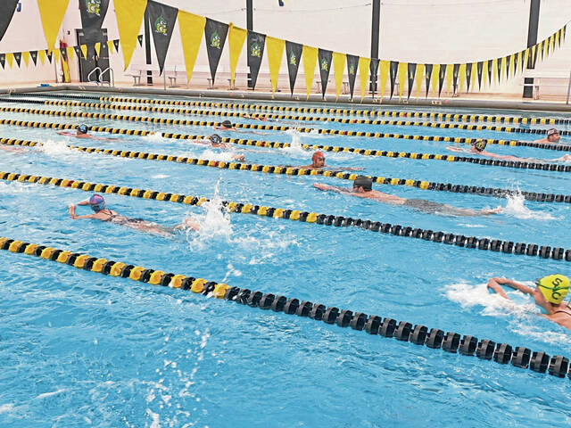 Big summer for Monroeville Marlins youth swimming program