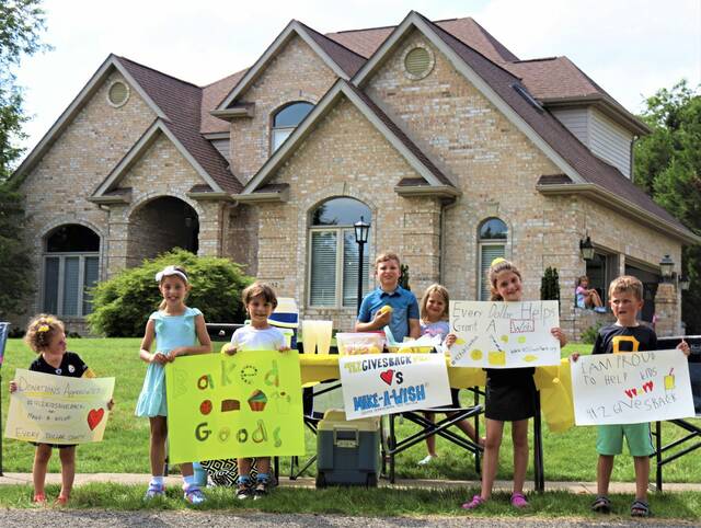 6362609_web1_pcj-LemonadeStandFundraiser7-072023