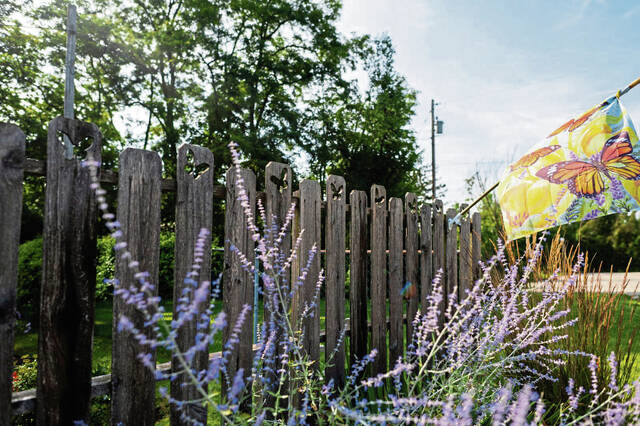 6371528_web1_vnd-gardendefense6-071223-