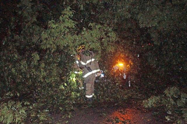 6380951_web1_vnd-TreeBuriesCar2-071423