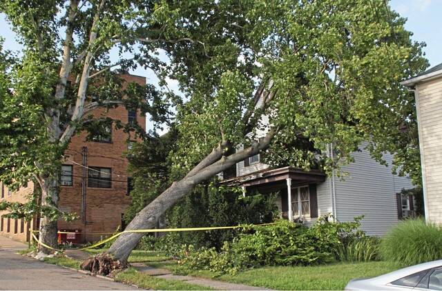 6380951_web1_vnd-TreeOnSpringdaleHouse-071523