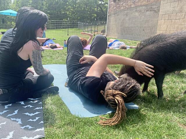 6382732_web1_vep-pigyoga3-071623