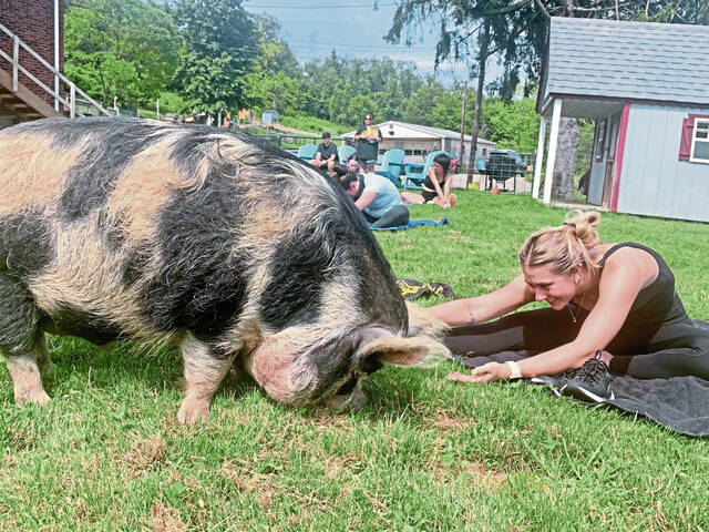 6384887_web1_vnd-pigyoga5-071623