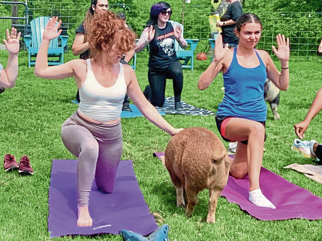 6384887_web1_vnd-pigyoga9-071623