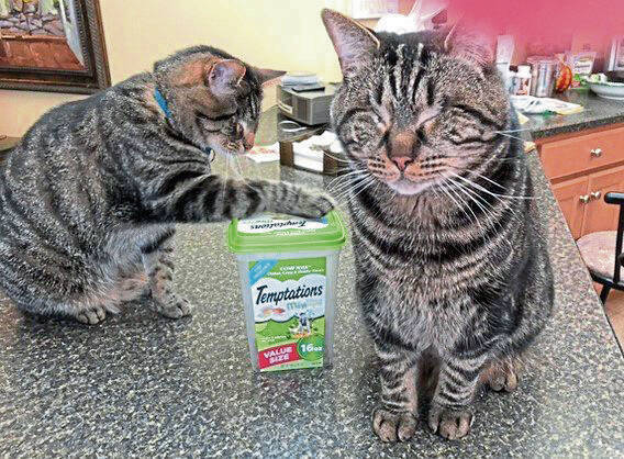 Slide 
													
													1