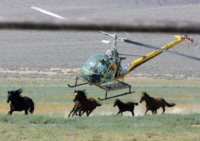 6397484_web1_6397484-aa6318beef744c8493c3da41c43c4005