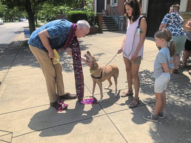 6417549_web1_HER-BlessingOfThePets-08323