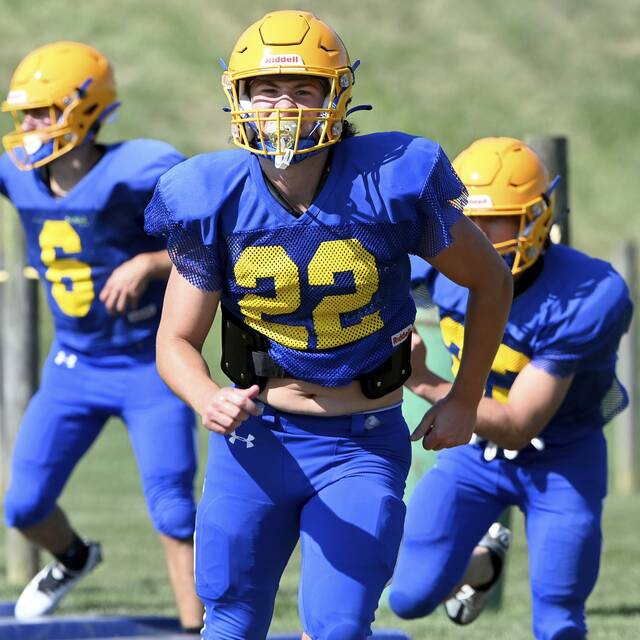 Strong offseason breeds optimism at Avella despite small roster