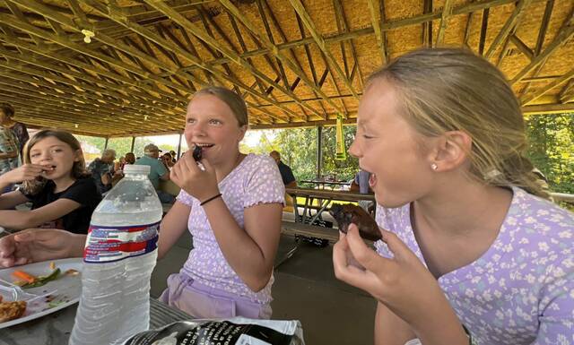 6445663_web1_vep-lo-ScenesLeechChurchPicnic-2-081323