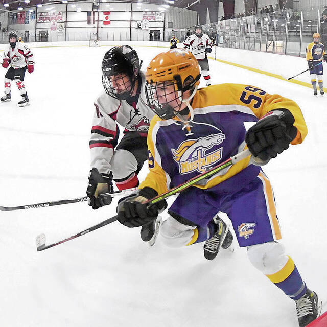 Plum grad excited to take over alma mater’s hockey program