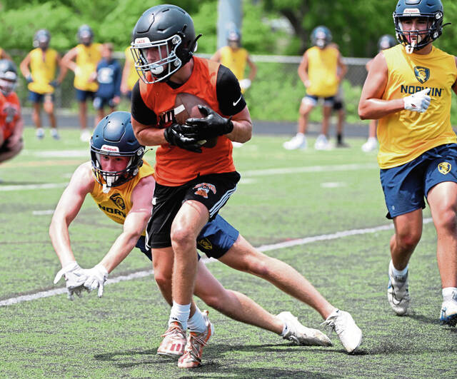 After a long offseason, the Birdie is ready to stick to football and Westmoreland County picks