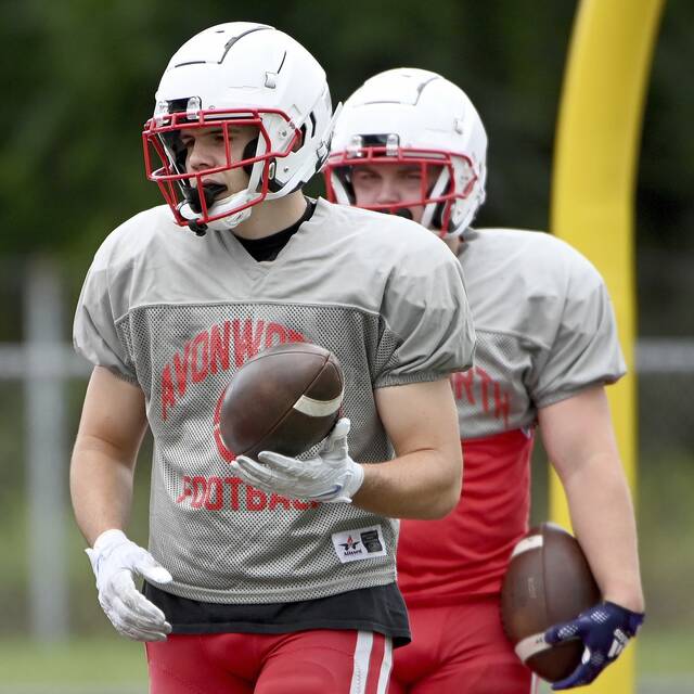 A WPIAL finalist last season, Avonworth again has high expectations