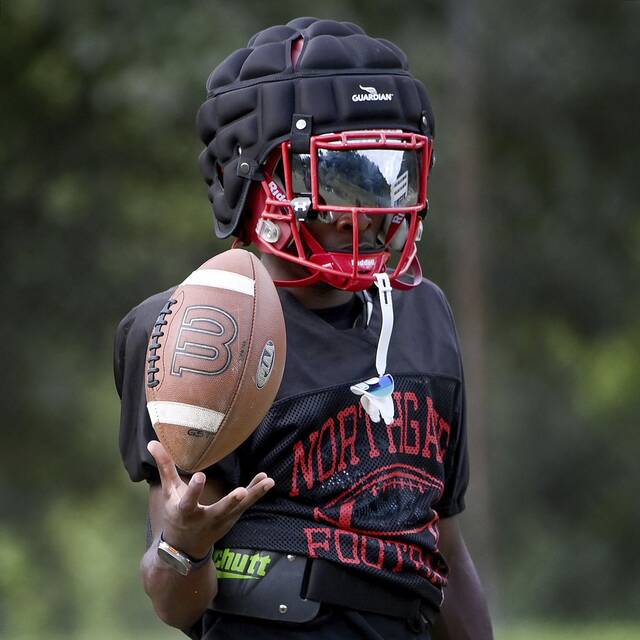 Northgate finds strength in numbers