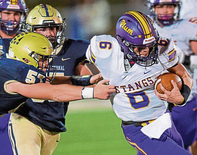 Plum quarterback Franzi will benefit from having most of last season’s offense back