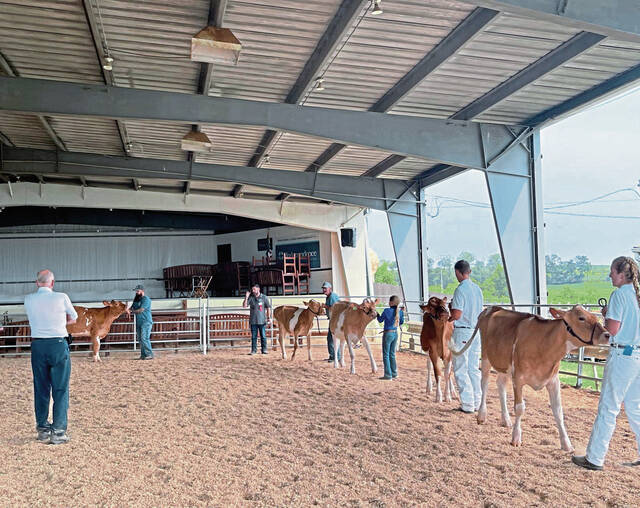 6497385_web1_gtr-FairMondayCalves004-082223