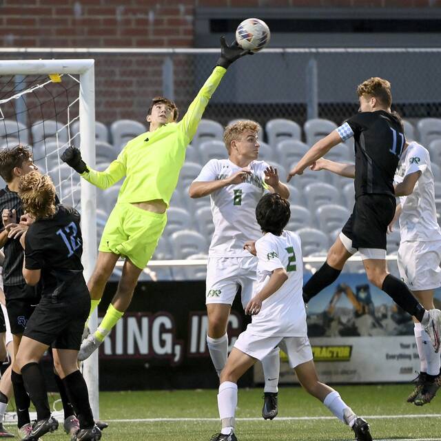 Defending WPIAL boys soccer champion Pine-Richland ready for challenges ahead