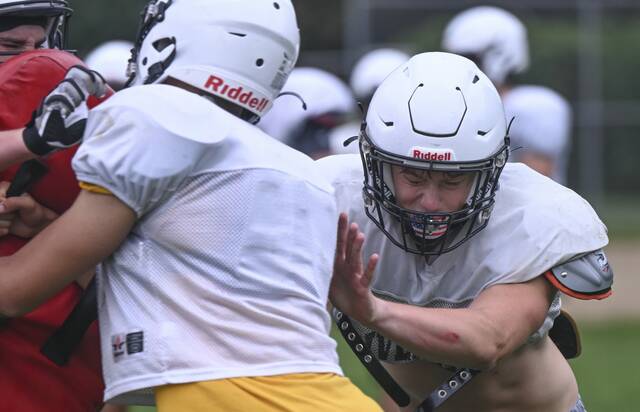 The Birdie isn’t goofing around anymore as he makes his Week 1 A-K Valley picks