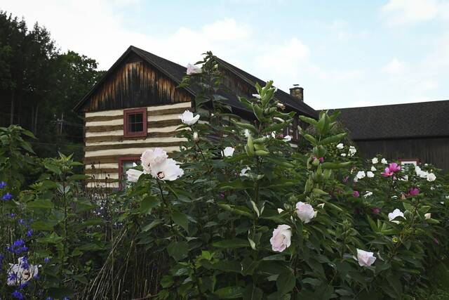 6459873_web1_gtr-LigGardens008-081023-001