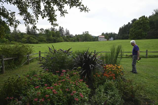 6459873_web1_gtr-LigGardens010-081023-001