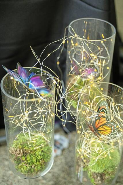 6544727_web1_PTR-ButterflyBall-1