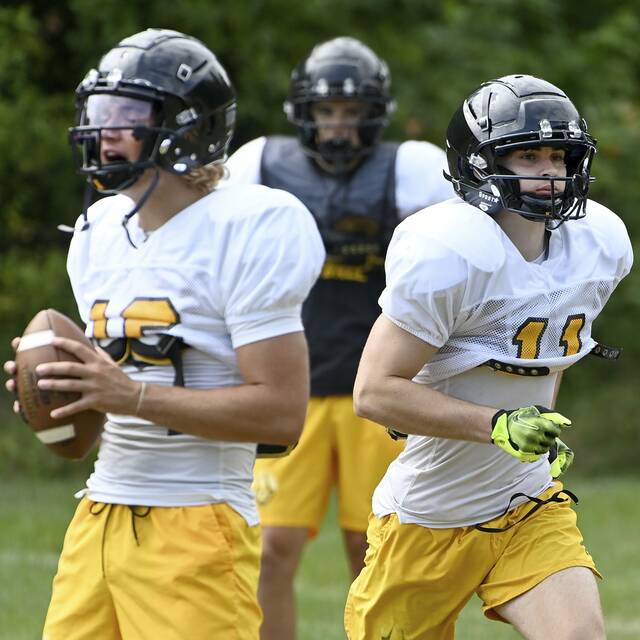 5 things to watch in Week 2: WPIAL teams are winning with multiple QBs
