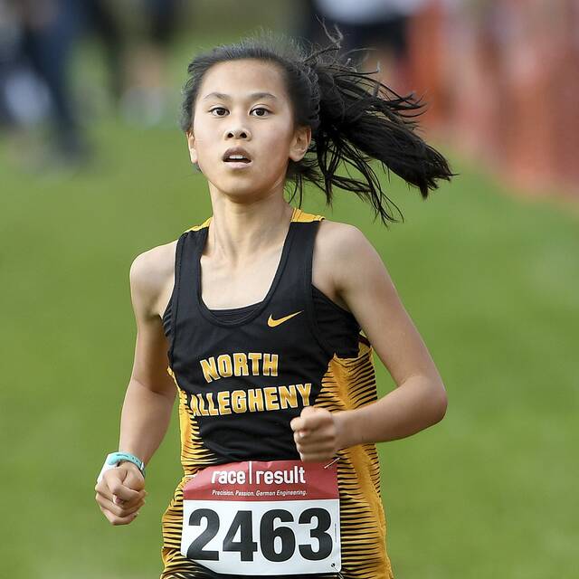 High school roundup for Sept. 9, 2023: North Allegheny, Montour win Red, White & Blue Classic