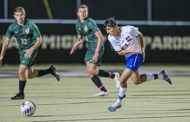 Westmoreland County boys soccer notebook: Latrobe looking part of contender