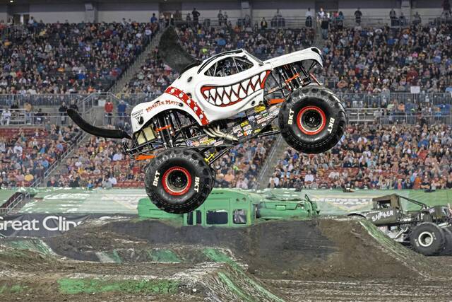 6566419_web1_Monster-Mutt-Dalmatian-20_01