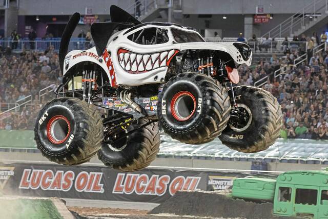 6566419_web1_Monster-Mutt-Dalmatian-20_03