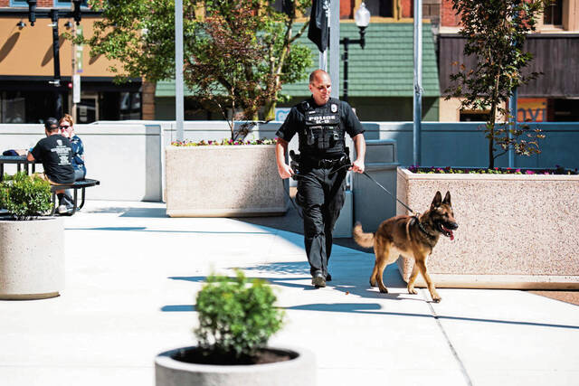 6570134_web1_gtr-PoliceDog1-091723