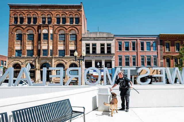 6570134_web1_gtr-PoliceDog3-091723