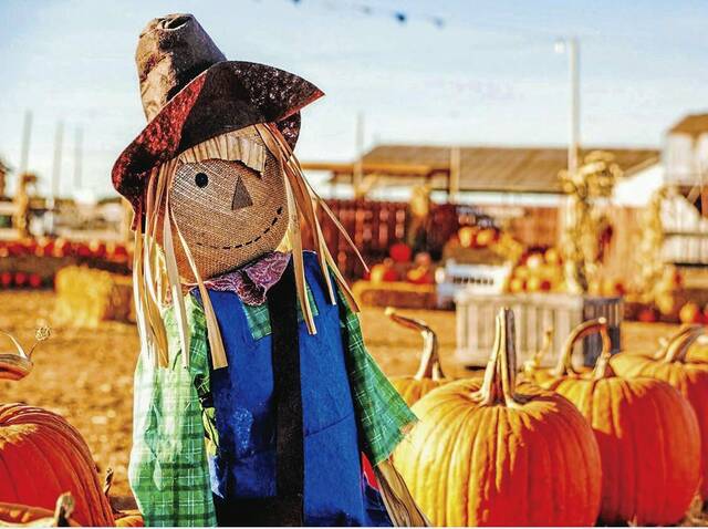 6570319_web1_Scarecrow