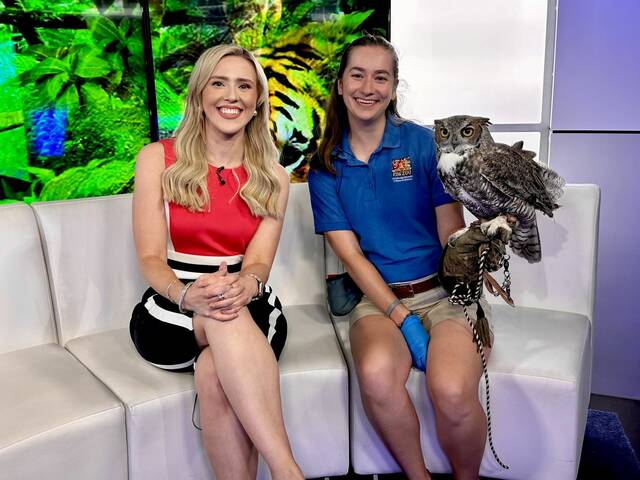 6571302_web1_ptr-TVTalk2-09142023-AlexandraTodd
